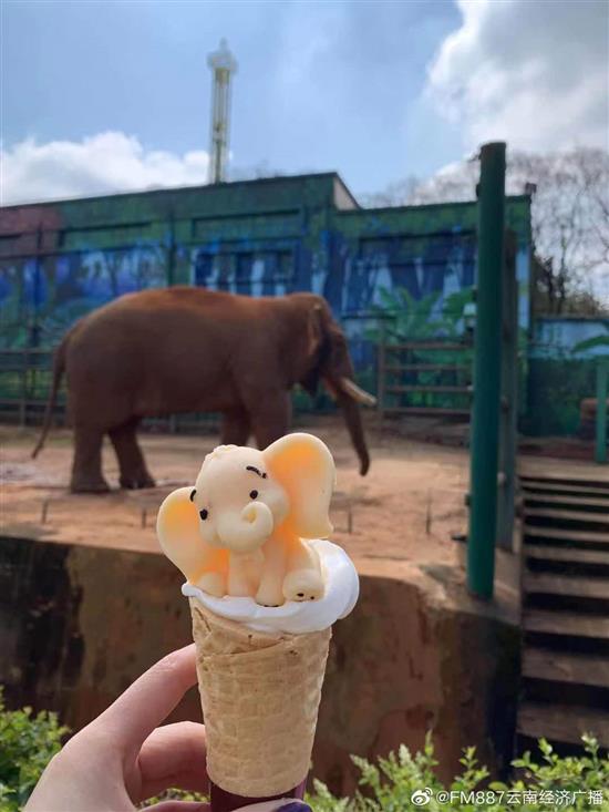 昆明动物园“大象”冰淇淋?FM887云南经济广播 图